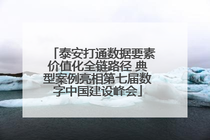 泰安打通数据要素价值化全链路径 典型案例亮相第七届数字中国建设峰会