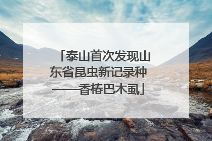 泰山首次发现山东省昆虫新记录种——香椿巴木虱