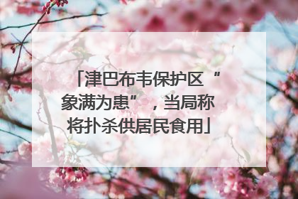津巴布韦保护区“象满为患”，当局称将扑杀供居民食用