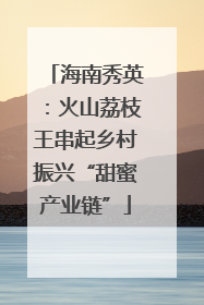 海南秀英：火山荔枝王串起乡村振兴“甜蜜产业链”
