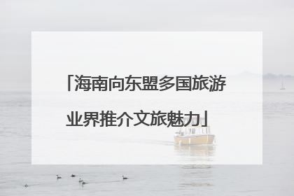 海南向东盟多国旅游业界推介文旅魅力