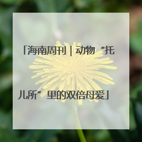 海南周刊｜动物“托儿所”里的双倍母爱