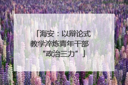 海安：以辩论式教学淬炼青年干部“政治三力”