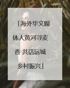 海外华文媒体人黄河寻麦香 共话运城乡村振兴