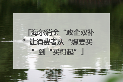 海尔消金“政企双补”让消费者从“想要买”到“买得起”