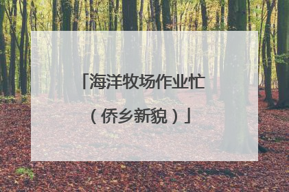 海洋牧场作业忙（侨乡新貌）