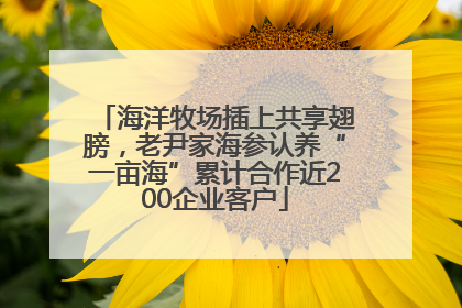 海洋牧场插上共享翅膀，老尹家海参认养“一亩海”累计合作近200企业客户