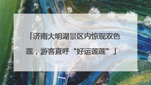 济南大明湖景区内惊现双色莲，游客直呼“好运莲莲”