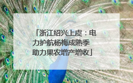 浙江绍兴上虞：电力护航杨梅成熟季 助力果农增产增收