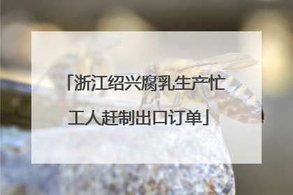 浙江绍兴腐乳生产忙 工人赶制出口订单