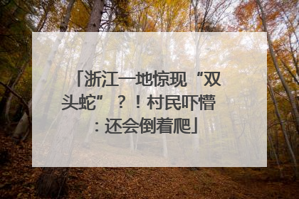 浙江一地惊现“双头蛇”？！村民吓懵：还会倒着爬