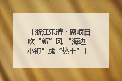 浙江乐清：聚项目吹“新”风 “海边小镇”成“热土”