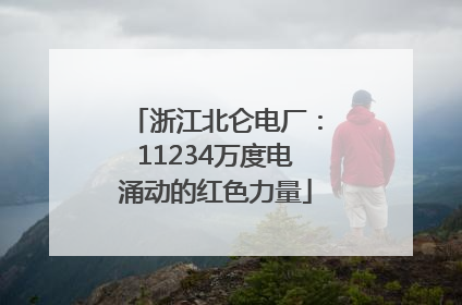 浙江北仑电厂：11234万度电涌动的红色力量
