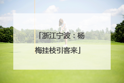 浙江宁波：杨梅挂枝引客来