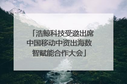 浩鲸科技受邀出席中国移动中资出海数智赋能合作大会