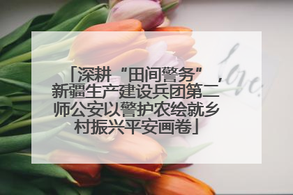 深耕“田间警务”，新疆生产建设兵团第二师公安以警护农绘就乡村振兴平安画卷
