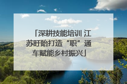 深耕技能培训 江苏盱眙打造“职”通车赋能乡村振兴
