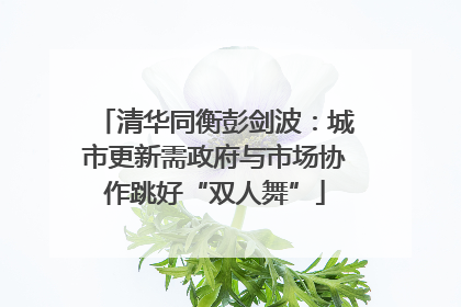 清华同衡彭剑波：城市更新需政府与市场协作跳好“双人舞”