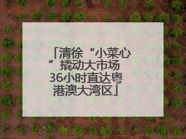 清徐“小菜心”撬动大市场 36小时直达粤港澳大湾区