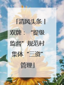 清风头条丨双牌：“提级监督”规范村集体“三资”管理