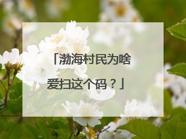 渤海村民为啥爱扫这个码？