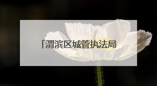 渭滨区城管执法局：科技赋能+生态治理双引擎 驱动城市品质“蝶变跃升”