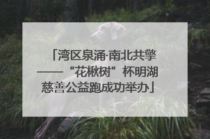 湾区泉涌·南北共擎——“花楸树”杯明湖慈善公益跑成功举办