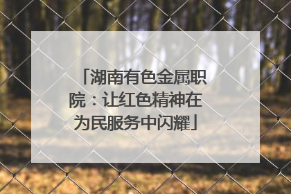 湖南有色金属职院：让红色精神在为民服务中闪耀