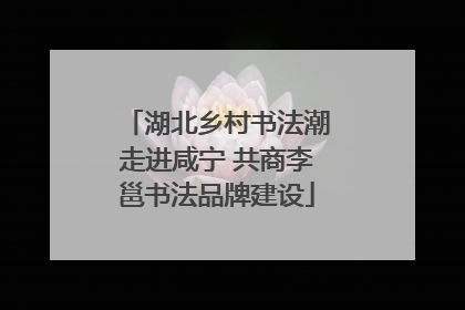 湖北乡村书法潮走进咸宁 共商李邕书法品牌建设