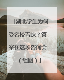 湖北学生为何受名校青睐？答案在这场咨询会（组图）