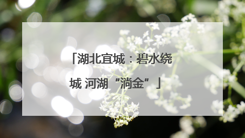 湖北宜城：碧水绕城 河湖“淌金”