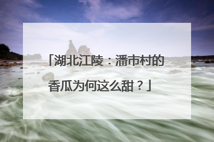 湖北江陵：潘市村的香瓜为何这么甜？