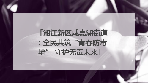湘江新区咸嘉湖街道：全民共筑“青春防毒墙” 守护无毒未来