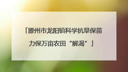 滕州市龙阳镇科学抗旱保苗 力保万亩农田“解渴”