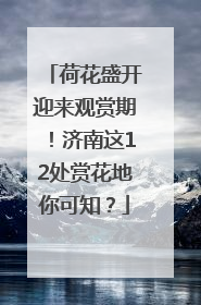 荷花盛开迎来观赏期！济南这12处赏花地你可知？