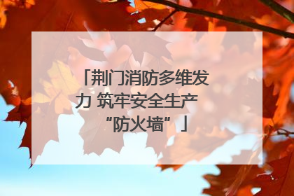 荆门消防多维发力 筑牢安全生产“防火墙”