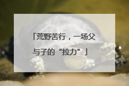 荒野苦行，一场父与子的“拉力”