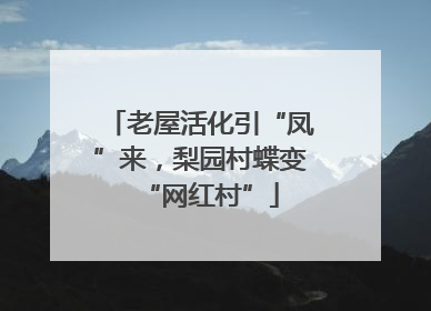 老屋活化引“凤”来，梨园村蝶变“网红村”