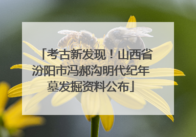 考古新发现！山西省汾阳市冯郝沟明代纪年墓发掘资料公布