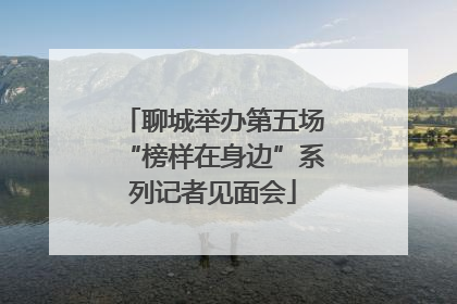 聊城举办第五场“榜样在身边”系列记者见面会