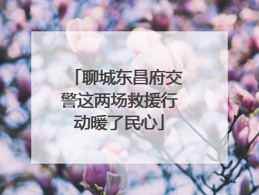 聊城东昌府交警这两场救援行动暖了民心