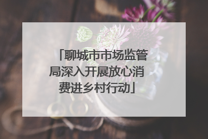 聊城市市场监管局深入开展放心消费进乡村行动