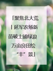 聚焦北大荒丨延军农场新苗破土铺绿浪 万亩良田绘“丰”景