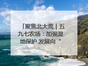 聚焦北大荒｜五九七农场：加强湿地保护 发展向“绿”而行