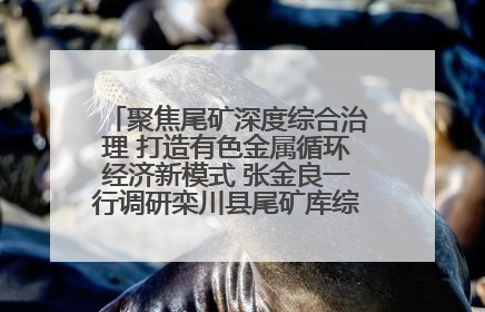 聚焦尾矿深度综合治理 打造有色金属循环经济新模式 张金良一行调研栾川县尾矿库综合治理工作