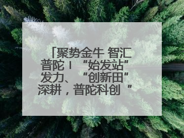 聚势金牛 智汇普陀〡“始发站”发力、“创新田”深耕，普陀科创“金牛”闪耀