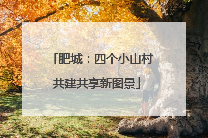 肥城：四个小山村共建共享新图景