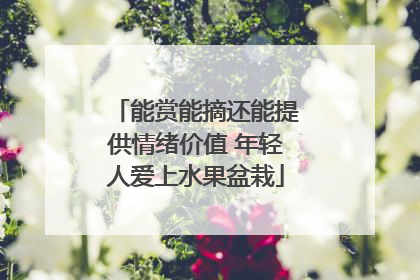 能赏能摘还能提供情绪价值 年轻人爱上水果盆栽