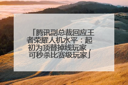 腾讯副总裁回应王者荣耀人机水平：起初为顶替掉线玩家，可秒杀比赛级玩家