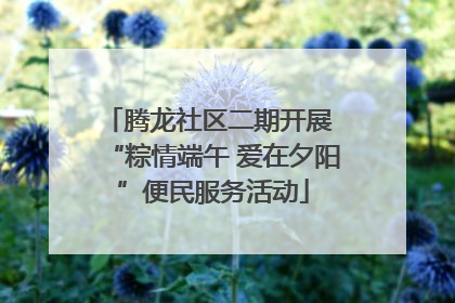 腾龙社区二期开展 “粽情端午 爱在夕阳”便民服务活动